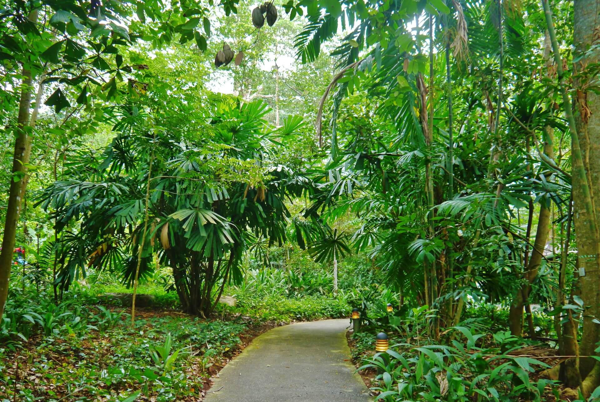 8@BT Bukit Timah Nature Reserve 8@BT Bukit Timah Nature Reserve