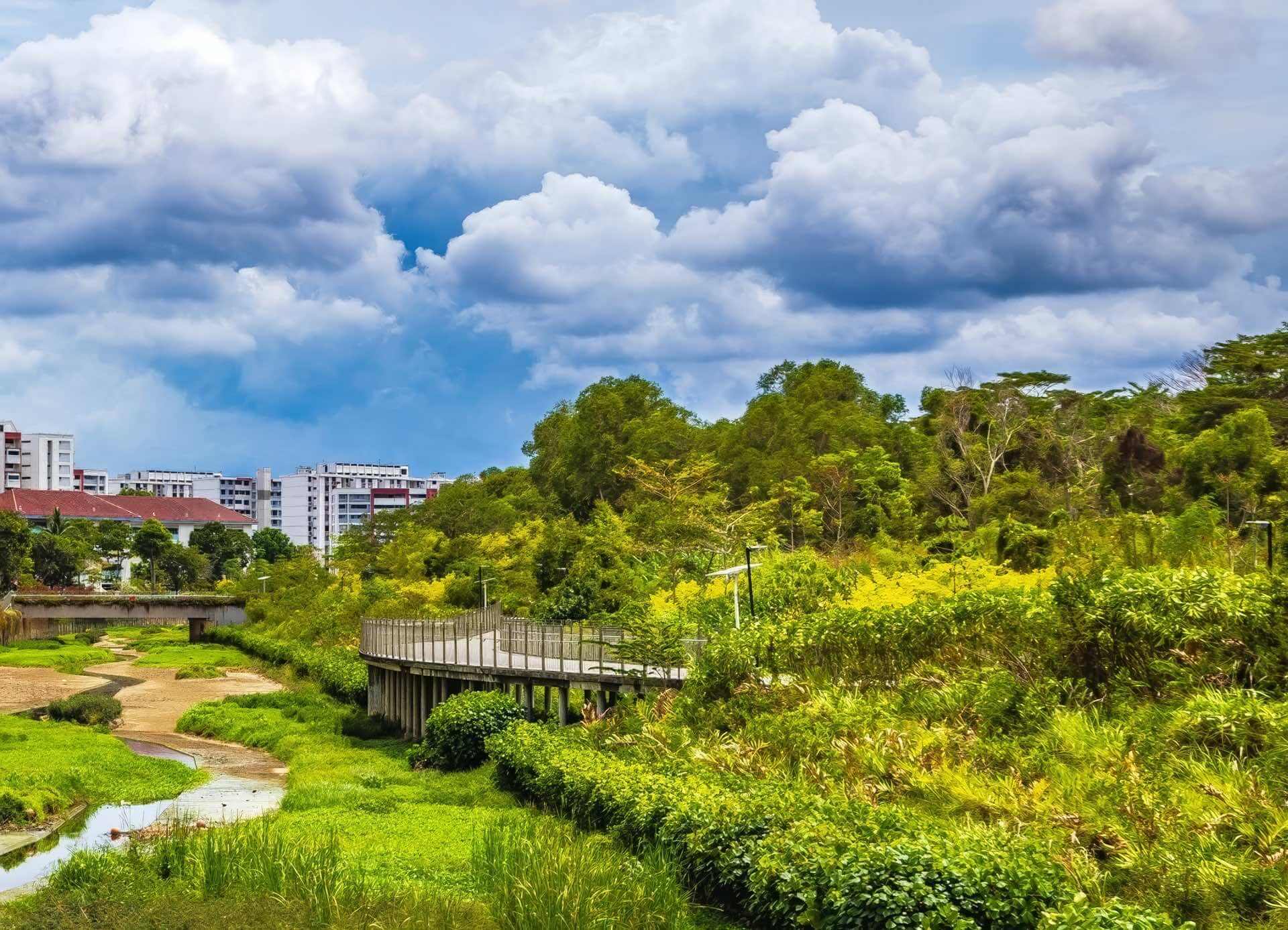 Aurelle of Tampines Tampines Eco Green Aurelle of Tampines Tampines Eco Green